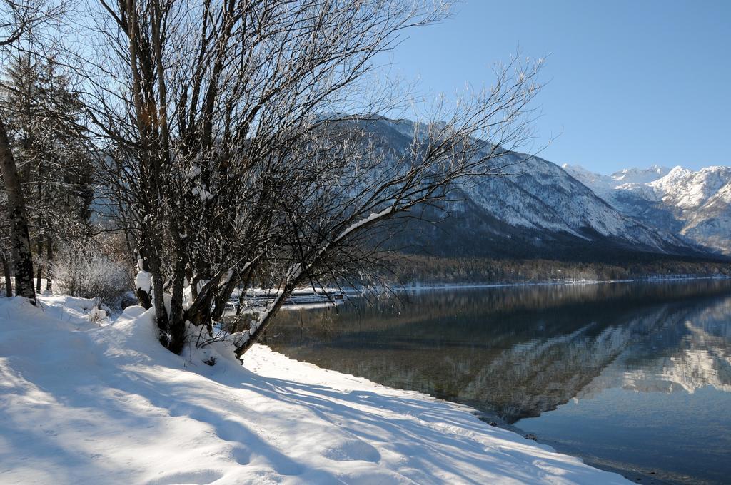 Apartment Dijak Bohinj Exteriör bild