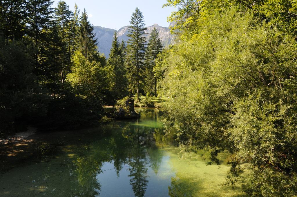 Apartment Dijak Bohinj Exteriör bild