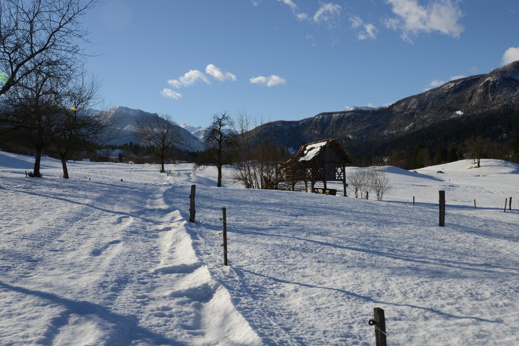 Apartment Dijak Bohinj Exteriör bild