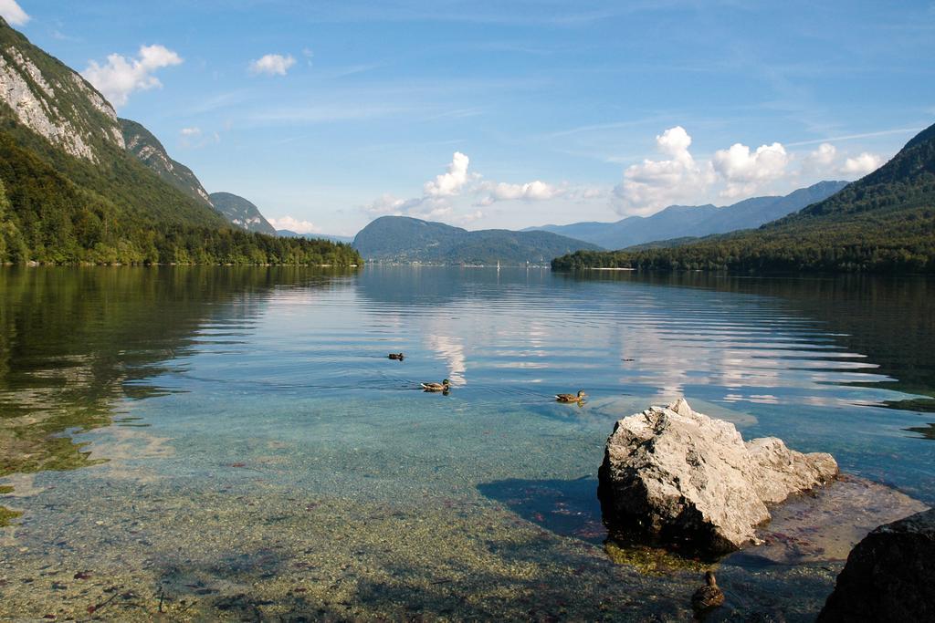 Apartment Dijak Bohinj Exteriör bild